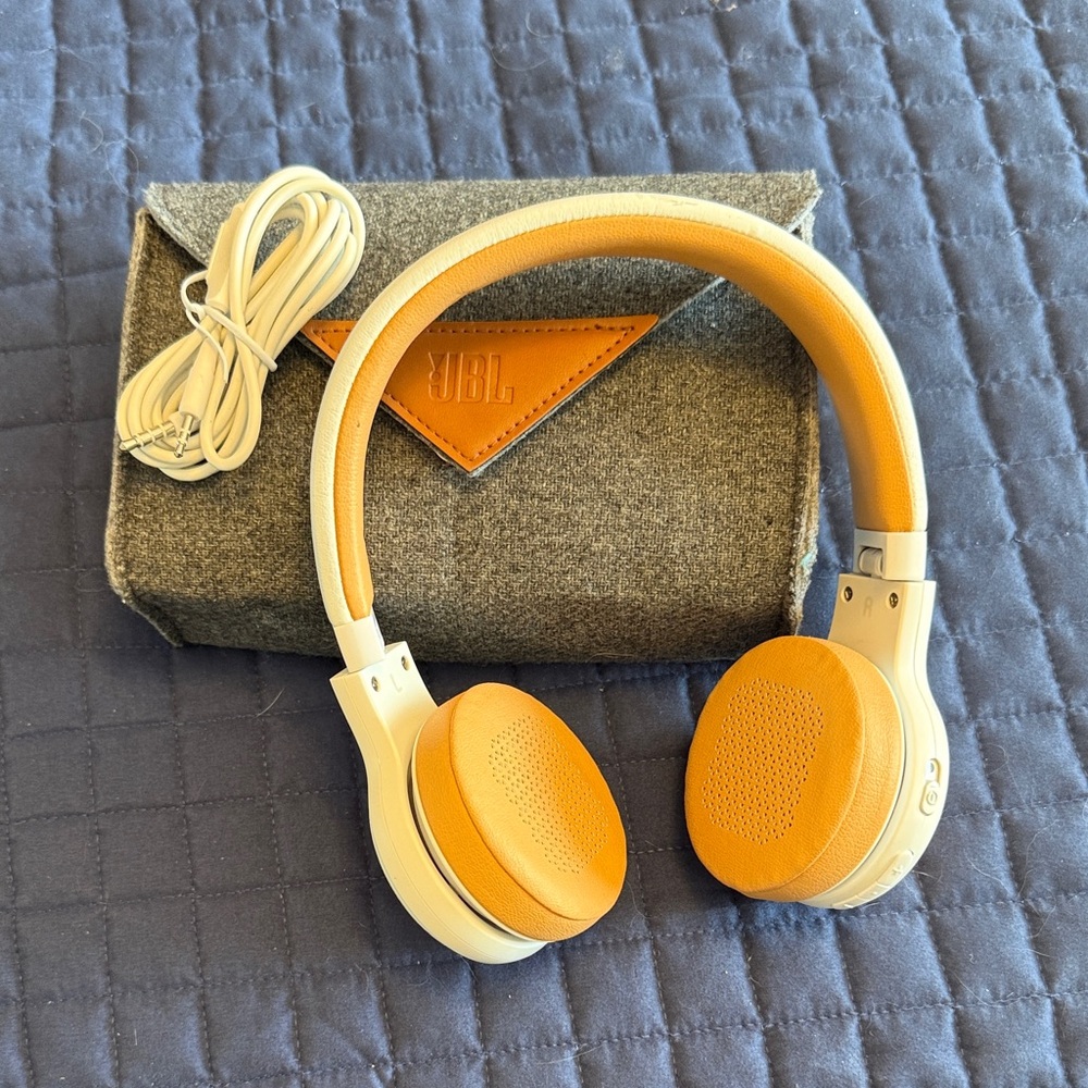 JBL diet headphones in case